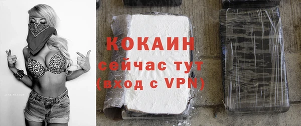 гашик Нягань