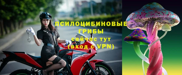 гашик Нягань