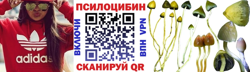 как найти закладки  Кольчугино  Псилоцибиновые грибы GOLDEN TEACHER 