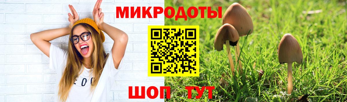 Псилоцибиновые грибы мицелий  Вход с VPN  Псилоцибиновые грибы Psilocybine cubensis  Кольчугино 