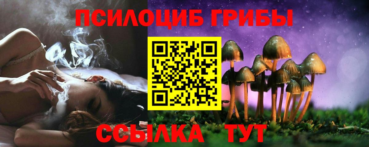 Галлюциногенные грибы ЛСД  Кольчугино 